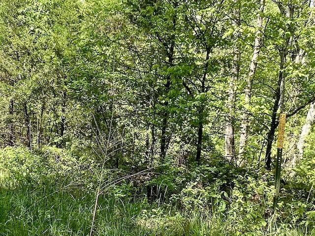 000 Dd 585, Winona, MO 65588
