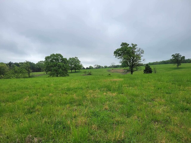 000 County Road 330, Gainesville, MO 65655 - photo 9