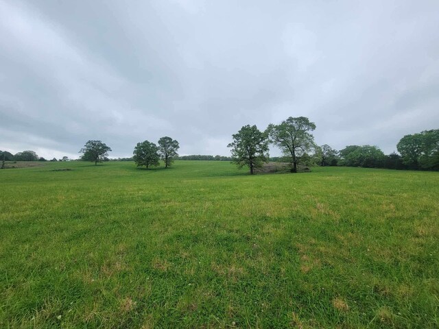 000 County Road 330, Gainesville, MO 65655 - photo 7