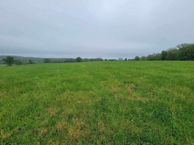 000 County Road 330, Gainesville, MO 65655 - photo 29
