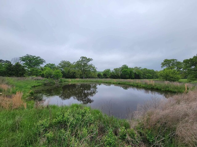 000 County Road 330, Gainesville, MO 65655 - photo 3