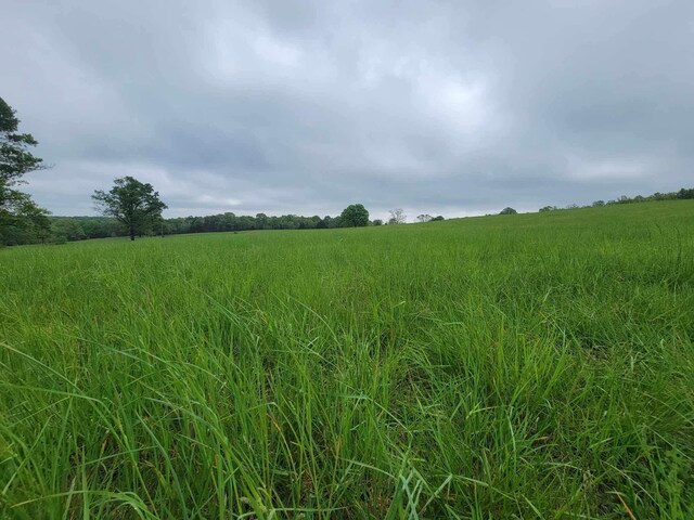 000 County Road 330, Gainesville, MO 65655 - photo 11