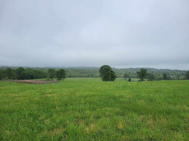 000 County Road 330, Gainesville, MO 65655 - photo 36