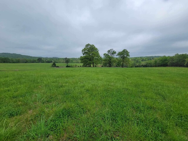 000 County Road 330, Gainesville, MO 65655 - photo 19
