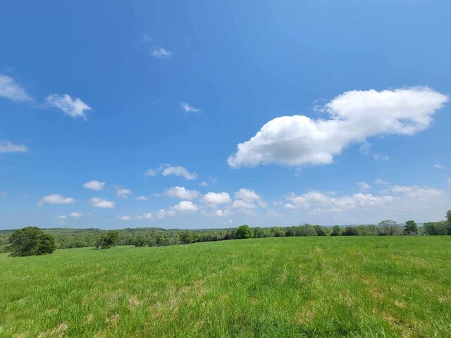 000 County Road 330, Gainesville, MO 65655 - photo 20
