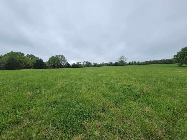 000 County Road 330, Gainesville, MO 65655 - photo 34