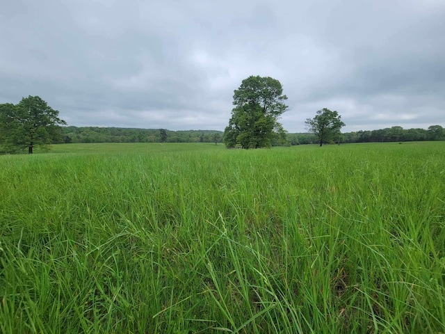 000 County Road 330, Gainesville, MO 65655 - photo 25