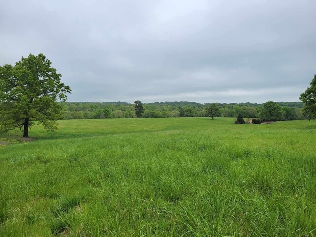 000 County Road 330, Gainesville, MO 65655 - photo 27