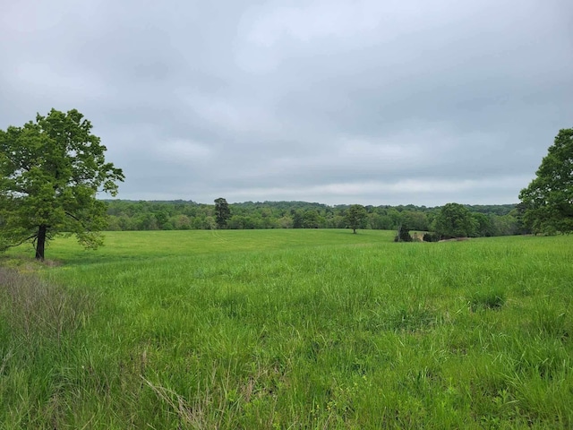 000 County Road 330, Gainesville, MO 65655 - photo 15