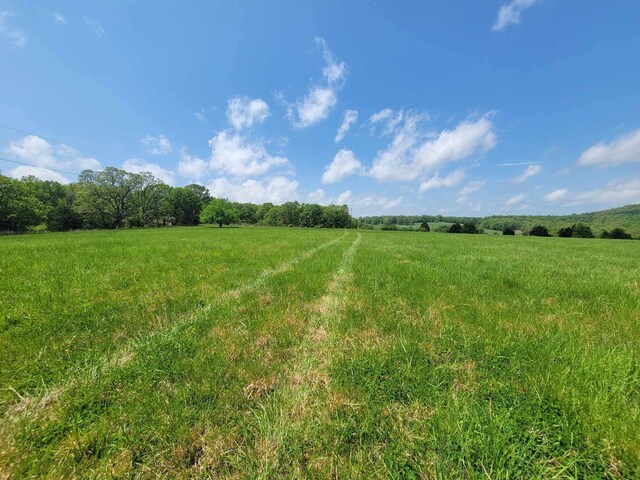 000 County Road 330, Gainesville, MO 65655 - photo 2