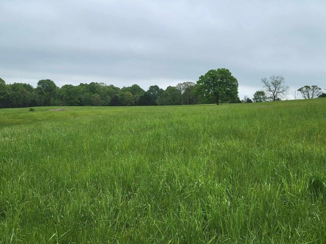 000 County Road 330, Gainesville, MO 65655 - photo 12