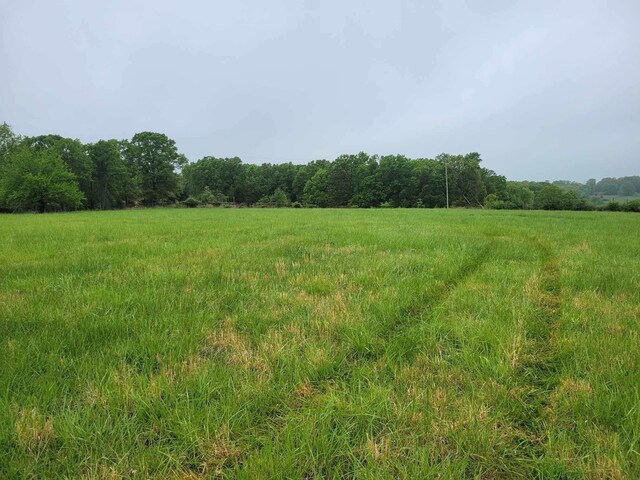 000 County Road 330, Gainesville, MO 65655 - photo 8