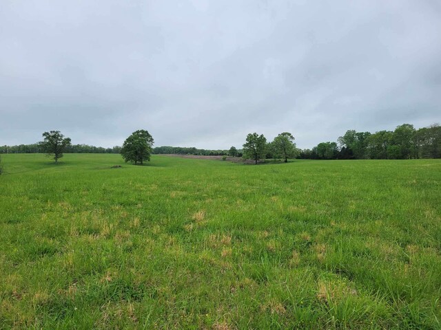 000 County Road 330, Gainesville, MO 65655 - photo 22