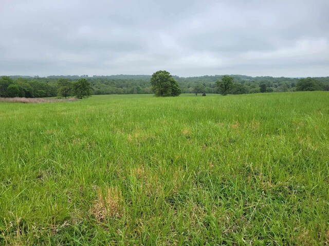 000 County Road 330, Gainesville, MO 65655 - photo 23