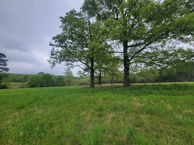 000 County Road 330, Gainesville, MO 65655 - photo 17