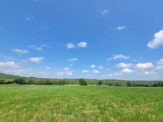 000 County Road 330, Gainesville, MO 65655 - photo 13