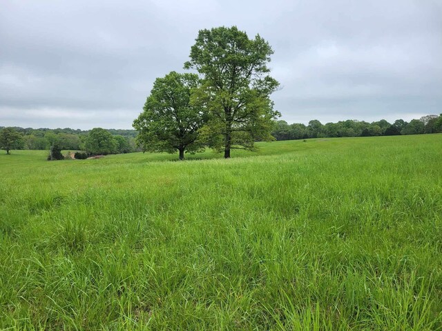000 County Road 330, Gainesville, MO 65655 - photo 18