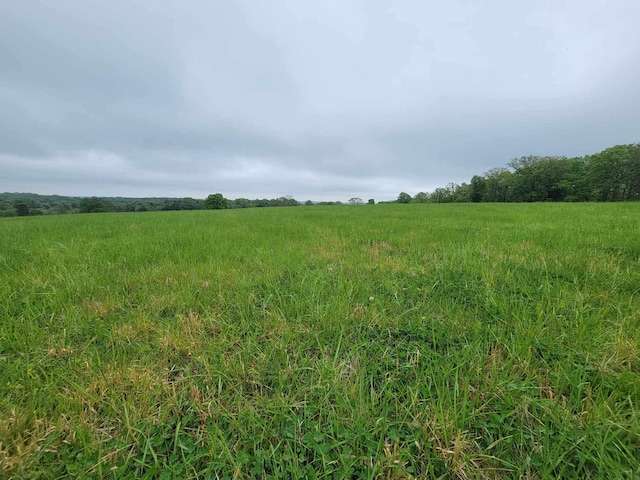 000 County Road 330, Gainesville, MO 65655 - photo 24