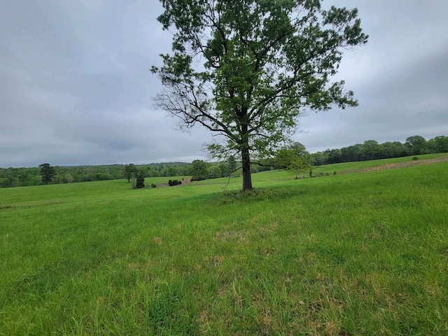 000 County Road 330, Gainesville, MO 65655 - photo 16