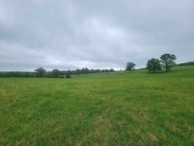 000 County Road 330, Gainesville, MO 65655 - photo 35