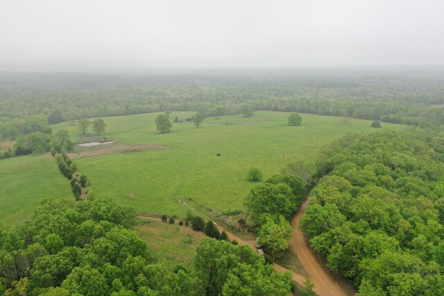 000 County Road 330, Gainesville, MO 65655 - photo 31