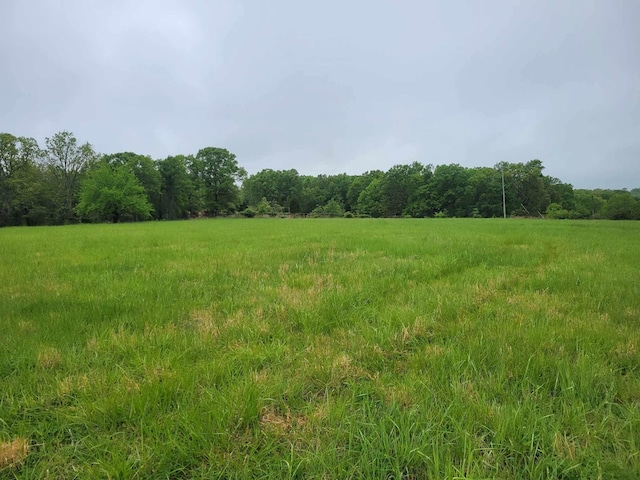 000 County Road 330, Gainesville, MO 65655 - photo 38