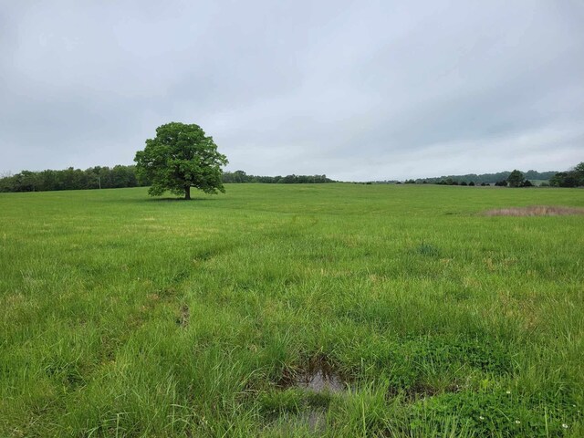 000 County Road 330, Gainesville, MO 65655 - photo 26