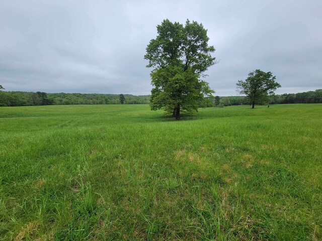 000 County Road 330, Gainesville, MO 65655 - photo 14