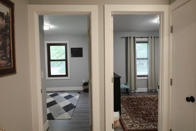 hall featuring baseboards, a healthy amount of sunlight, and wood finished floors