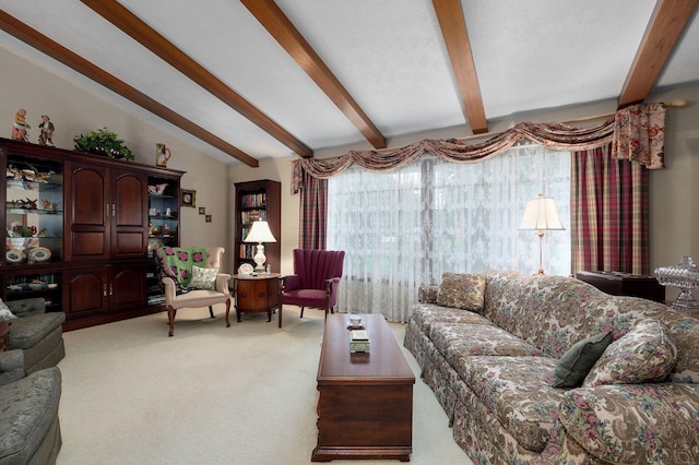 living room featuring light colored carpet