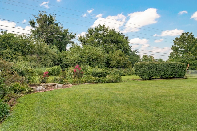 view of grassy yard