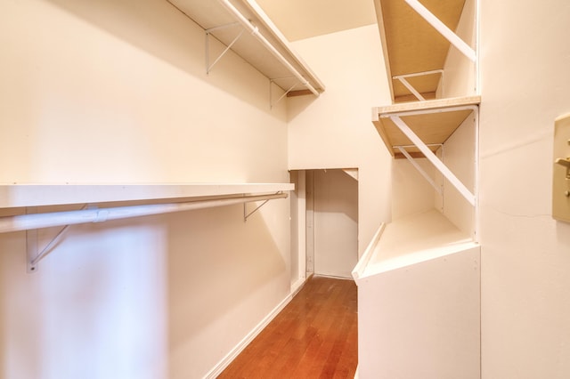 walk in closet featuring wood finished floors
