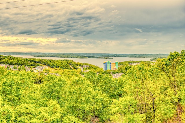 bird's eye view featuring a water view