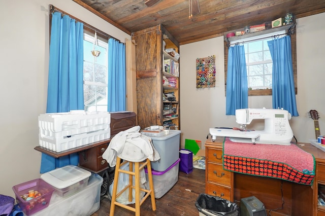 interior space featuring wood ceiling, wood finished floors, and multiple windows