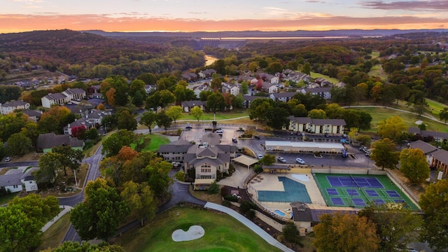 161 Avondale Dr Unit 11, Branson, MO 65616 - bird's eye view with a residential view