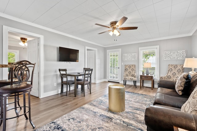 living room with crown molding, a ceiling fan, and light wood-type flooring