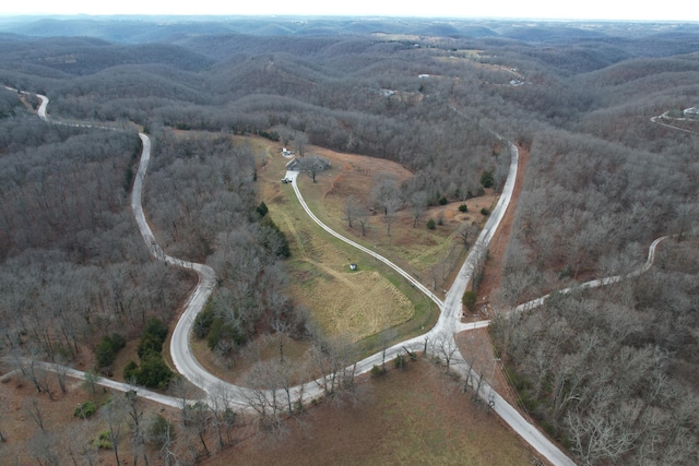 1770 Logan Ridge Rd, Ozark, MO 65721 - drone / aerial view with a view of trees