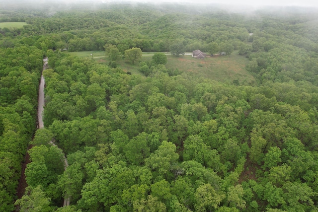 1770 Logan Ridge Rd, Ozark, MO 65721 - drone / aerial view with a wooded view