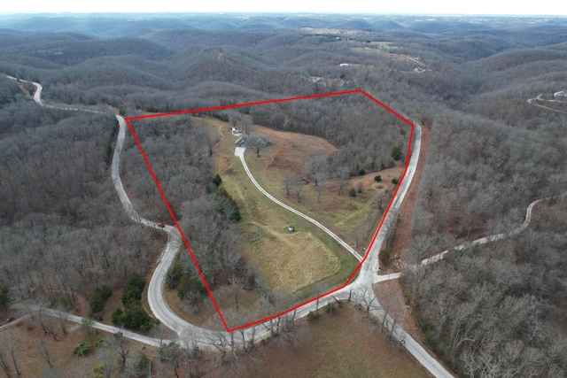 1770 Logan Ridge Rd, Ozark, MO 65721 - bird's eye view with a rural view