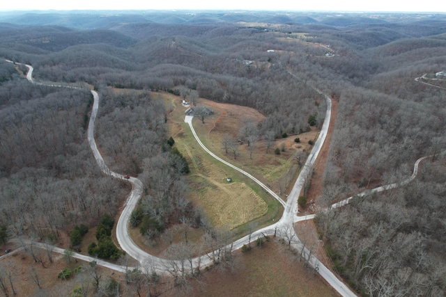 1770 Logan Ridge Rd, Ozark, MO 65721 - birds eye view of property with a wooded view