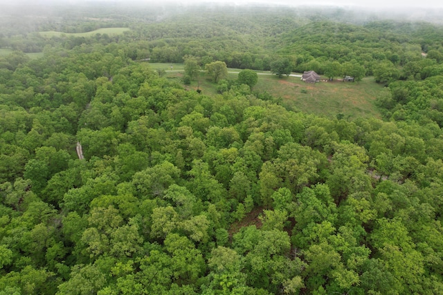 1770 Logan Ridge Rd, Ozark, MO 65721 - aerial view featuring a wooded view