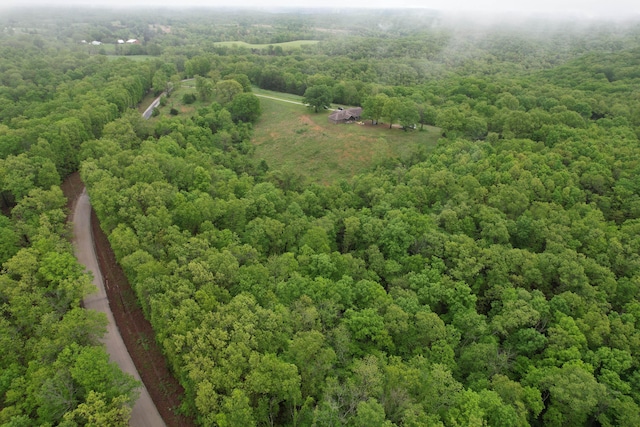 1770 Logan Ridge Rd, Ozark, MO 65721 - birds eye view of property with a view of trees