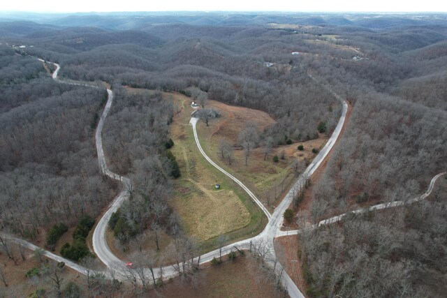 1770 Logan Ridge Rd, Ozark, MO 65721 - bird's eye view featuring a forest view