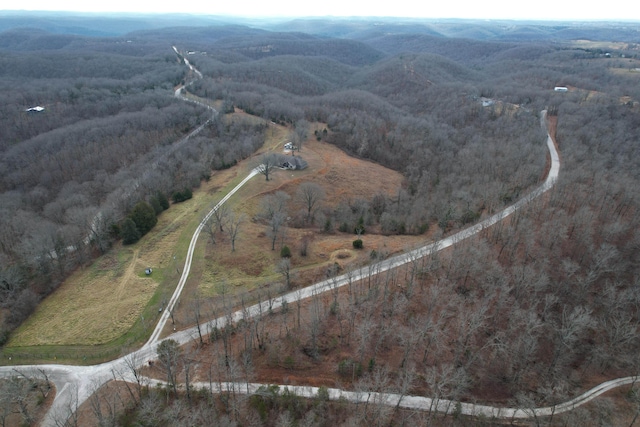1770 Logan Ridge Rd, Ozark, MO 65721 - bird's eye view featuring a view of trees and a mountain view