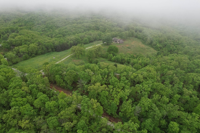 1770 Logan Ridge Rd, Ozark, MO 65721 - bird's eye view with a forest view