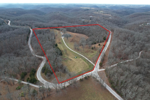 1770 Logan Ridge Rd, Ozark, MO 65721 - drone / aerial view featuring a forest view