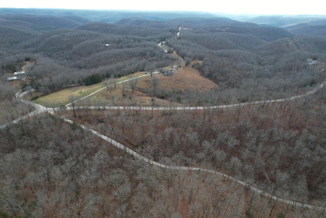 1770 Logan Ridge Rd, Ozark, MO 65721 - bird's eye view with a mountain view
