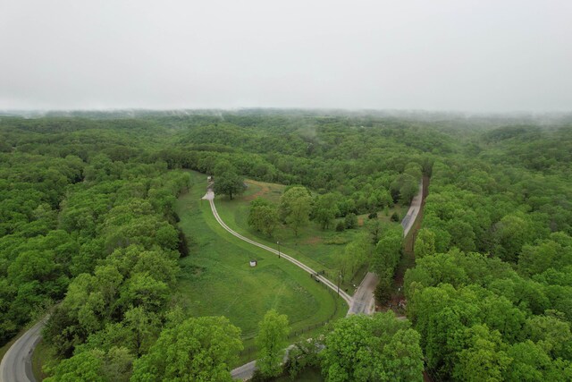 1770 Logan Ridge Rd, Ozark, MO 65721 - birds eye view of property featuring a wooded view