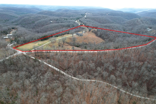 1770 Logan Ridge Rd, Ozark, MO 65721 - aerial view featuring a wooded view and a mountain view