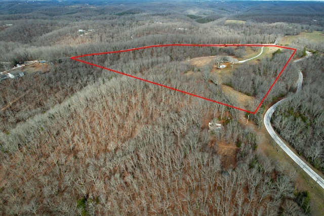 1770 Logan Ridge Rd, Ozark, MO 65721 - birds eye view of property with a forest view
